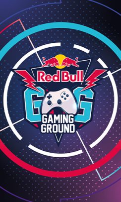 Red Bull Gaming